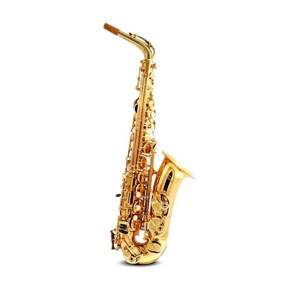 SAXOPHONE-ALTO-KAS-101GOLD-FREEDOM---1
